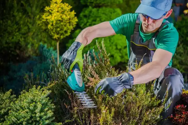 landscaping services Brook Park